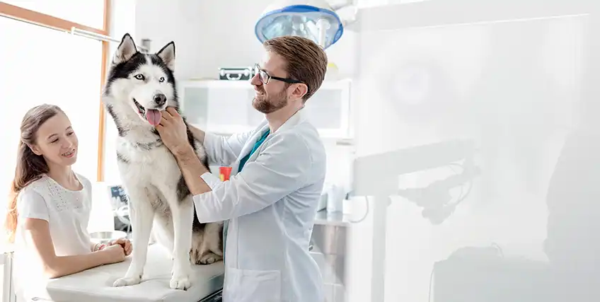 How Veterinary Clinics Use Business Term Loans to Expand and Upgrade